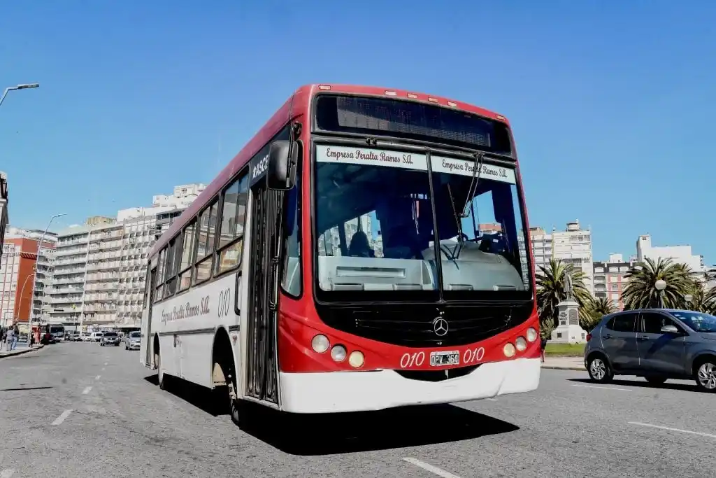 Polemica por la gratuidad del transporte público en las elecciones de General Pueyrredón