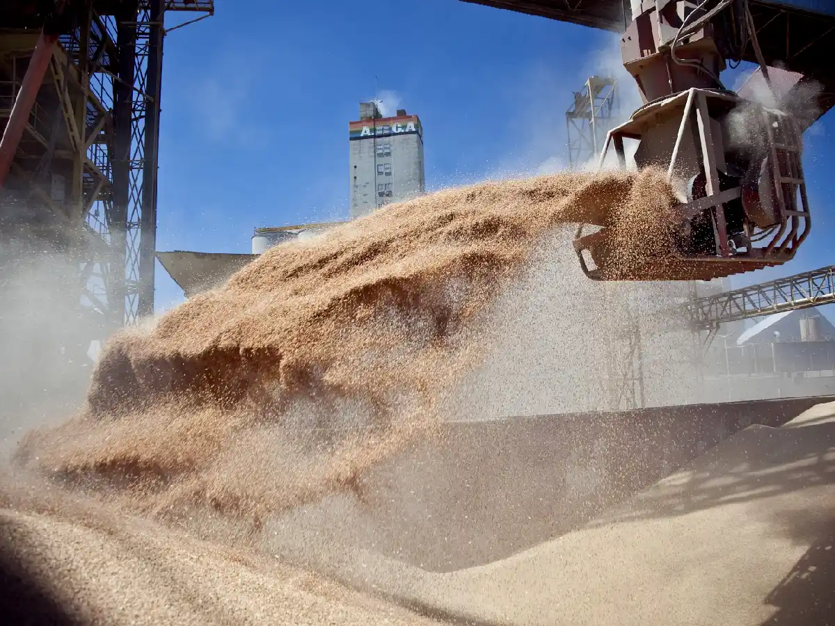 Retenciones: Argentina es uno  de los cinco países que las aplica  entre los 50 mayores exportadores    