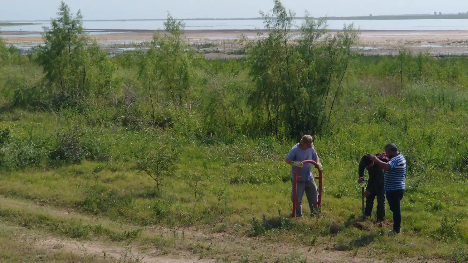 Delimitan bosques nativos a la vera de la Laguna Setúbal