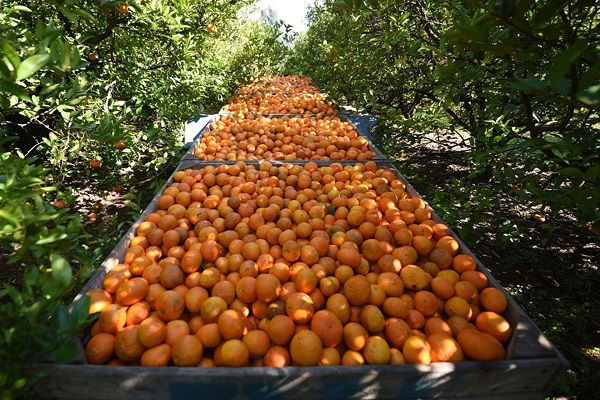 Aprueban aportes por 16 millones de pesos para productores entrerrianos
