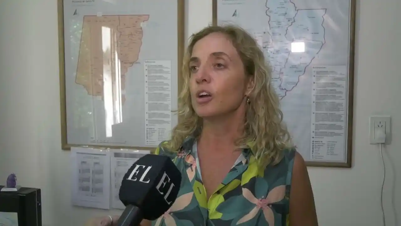 Alerta dengue tras 9 casos confirmados en el norte de la provincia de Santa Fe