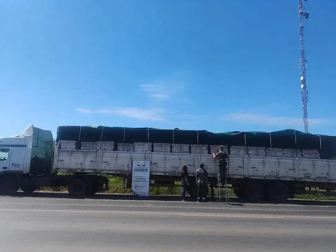 Incautaron un cargamento millonario de duraznos en conserva