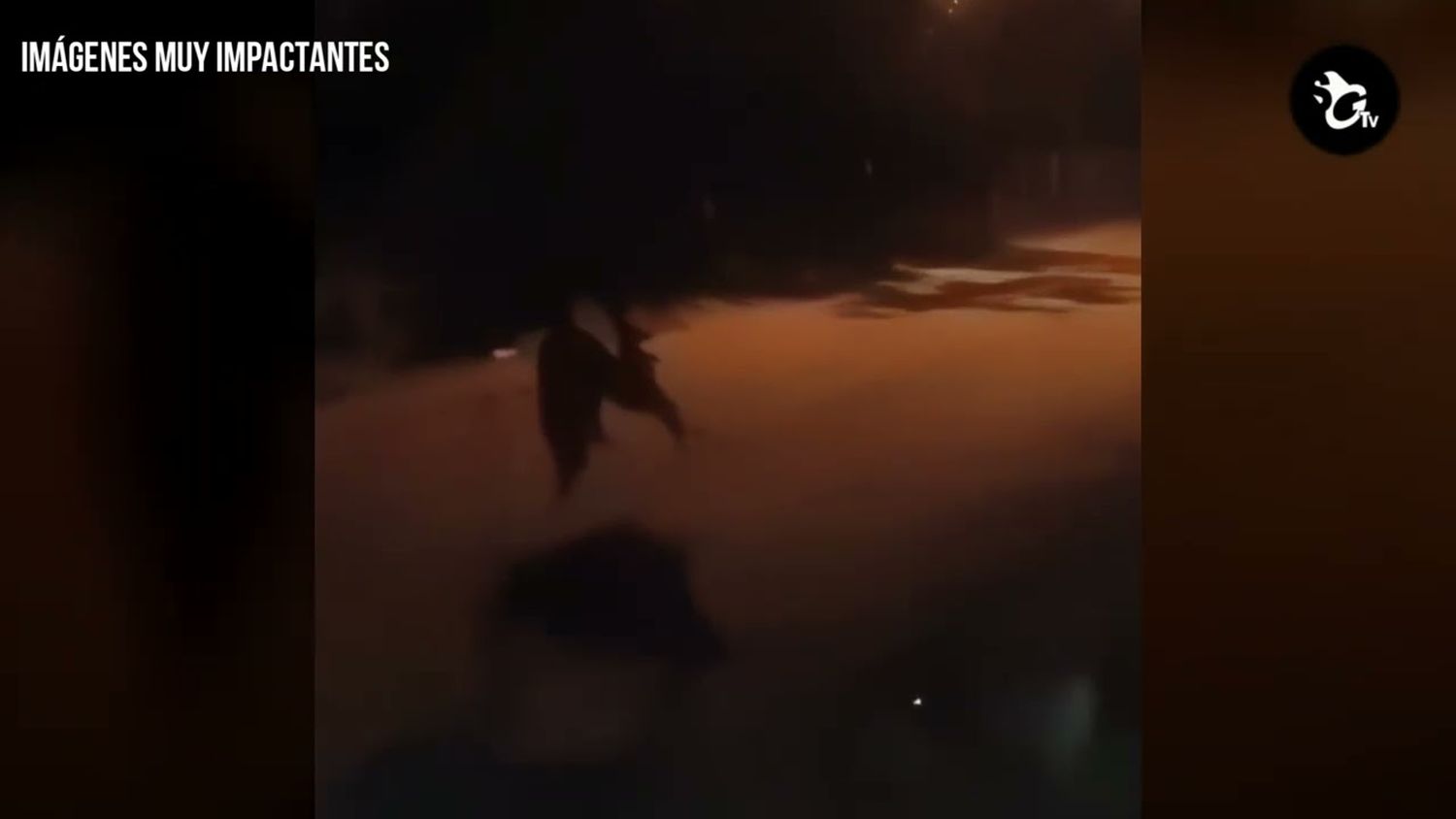 ¿Un lobizón en la zona rural de San Pedro?