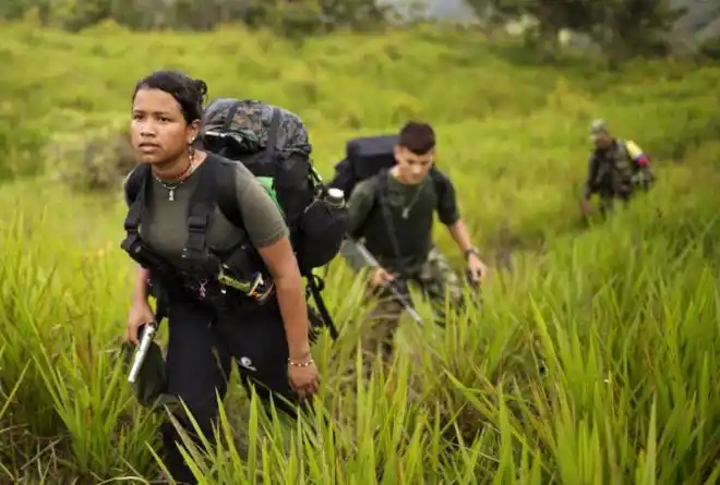 Gobierno y FARC anunciaron el "cese definitivo del fuego y hostilidades"