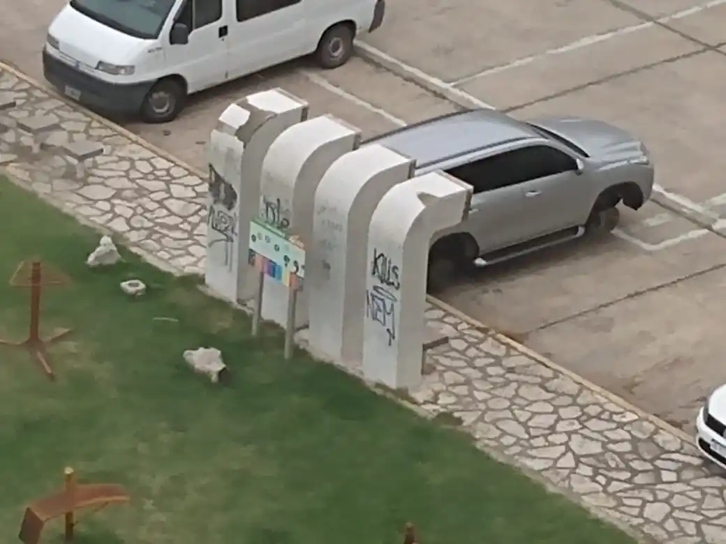Los “robagomas” no dan tregua y son una verdadera pesadilla