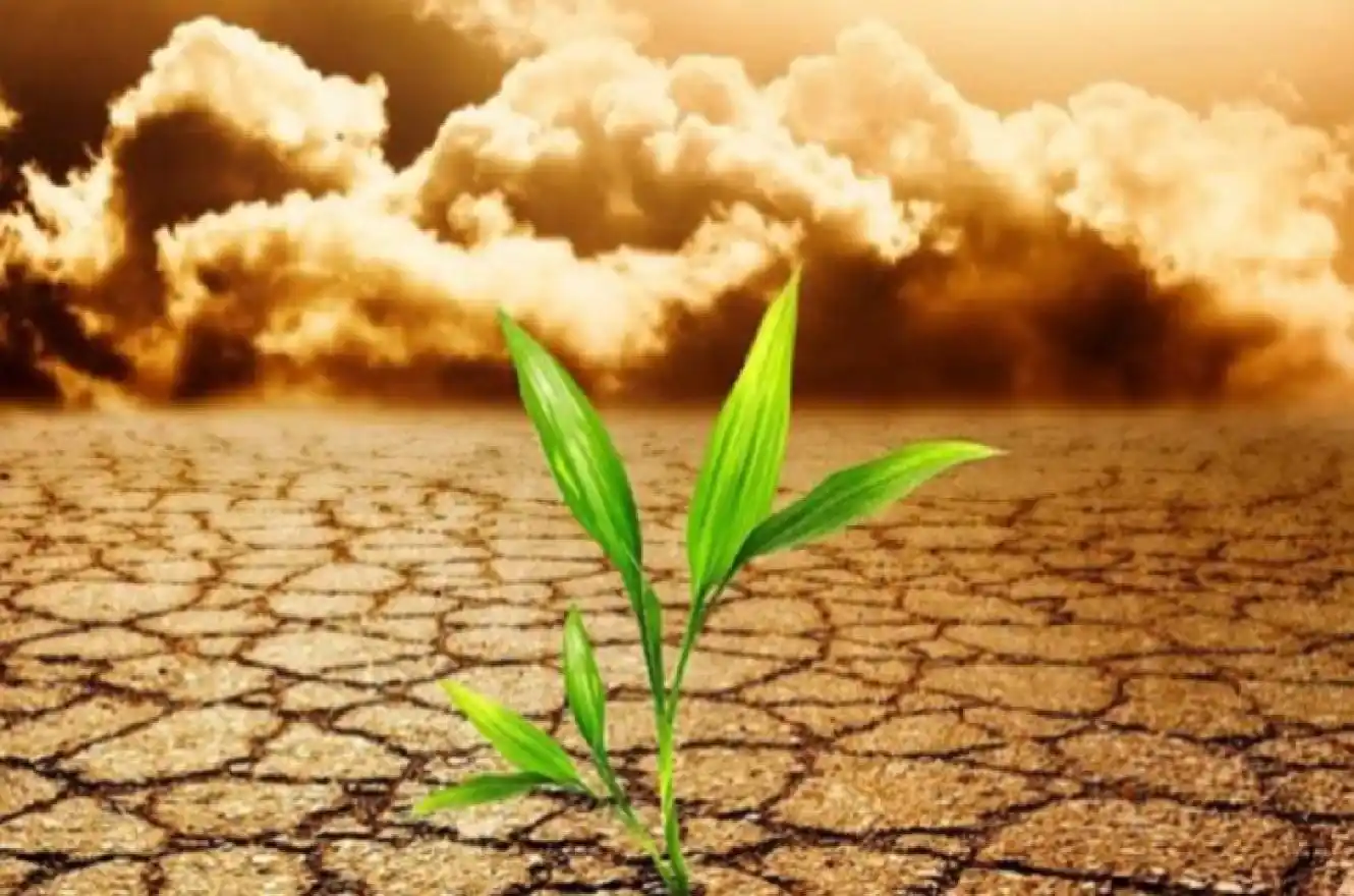 El cambio climático hizo que la reciente ola de calor sea 60 veces más probable