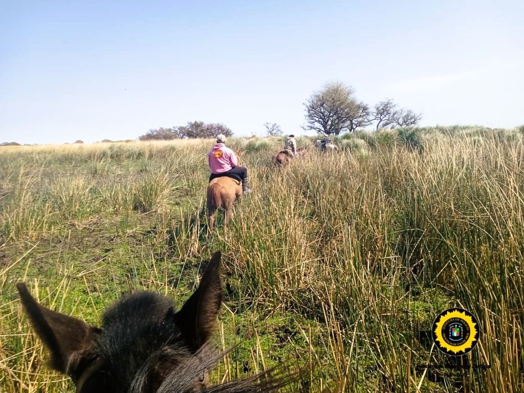 Vacas robadas en la isla: un Toyota Corolla, pista clave para allanar el campo de los Alsogaray