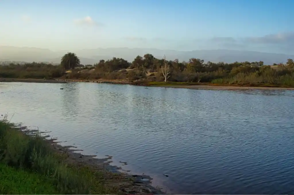 Los tres docentes que murieron