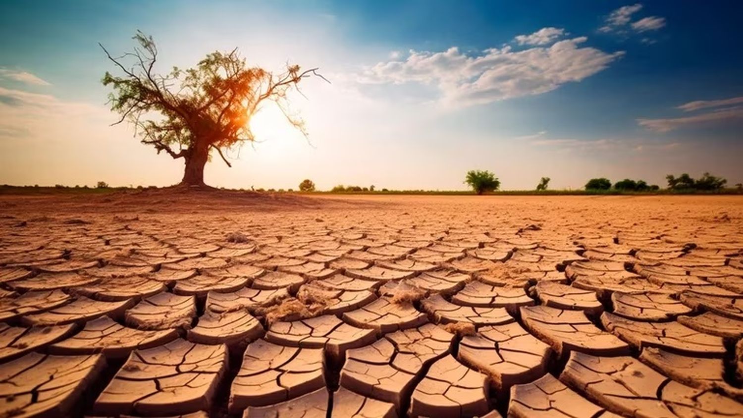 Liderazgo climático argentino y contexto electoral