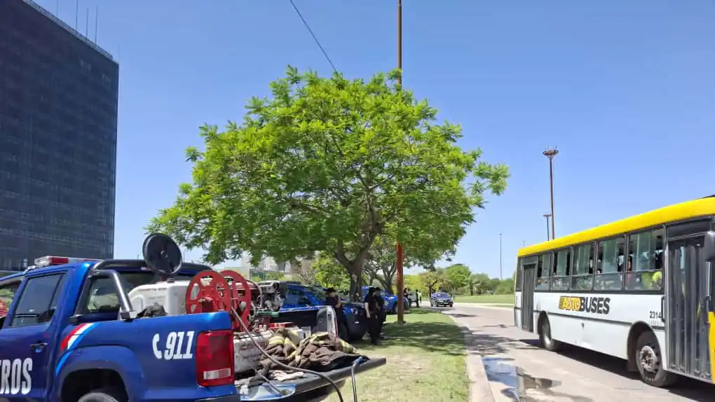 Jesús Feliciano Pérez - Asociación Civil De Pescadores De Alto Verde | ¿Cómo sigue el reclamo de los pescadores?