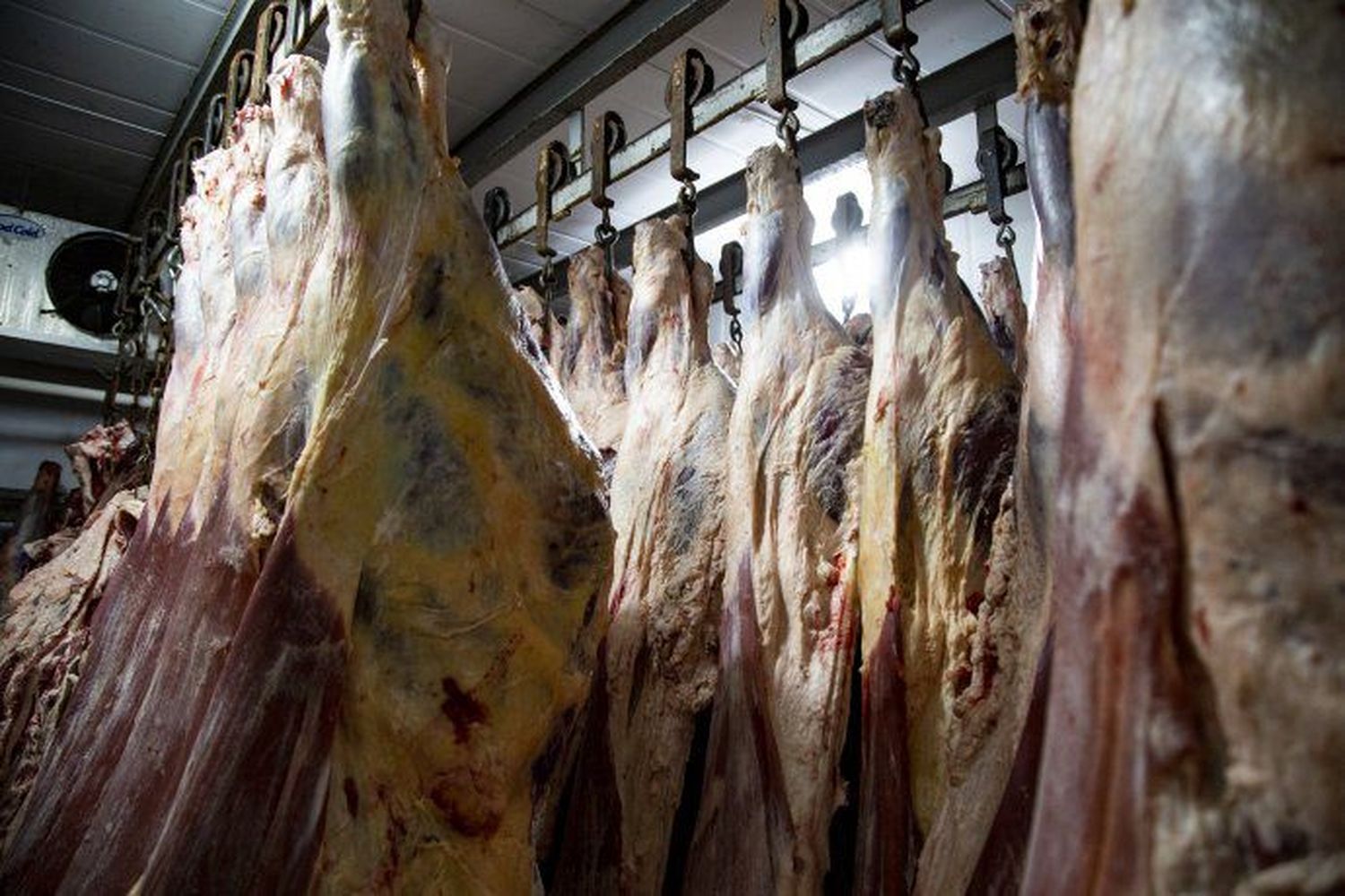 Gobierno flexibiliza las restricciones a la exportación de carne