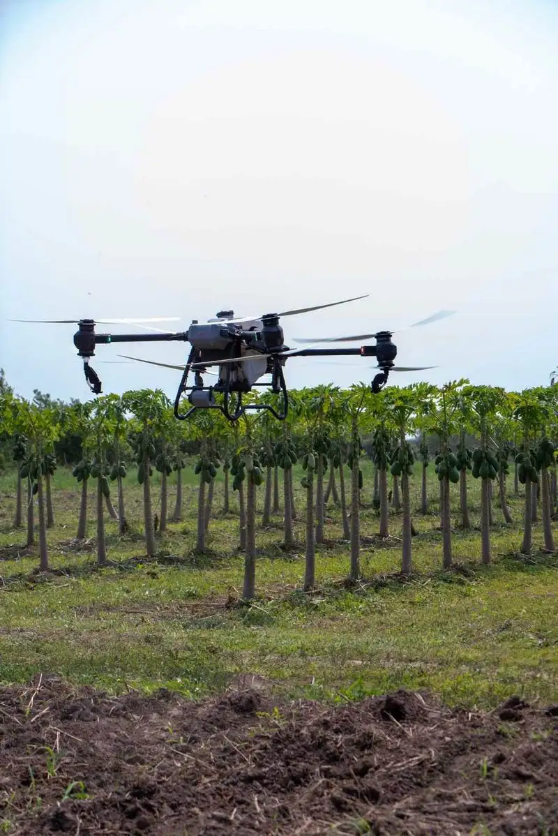Jornada demostrativa sobre la implementación
de drones para la producción agrícola