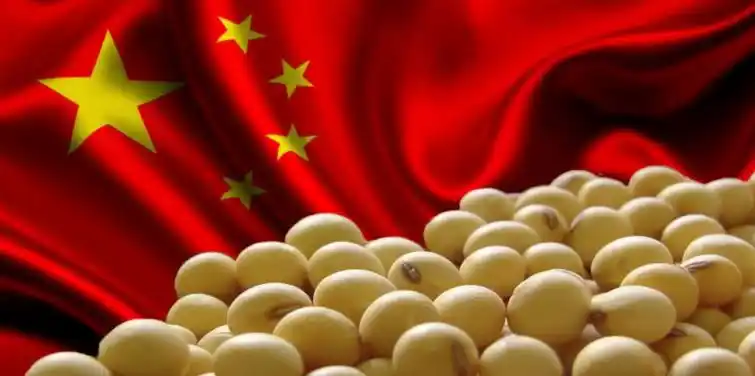 Las importaciones chinas de soja caen un 9% en noviembre, pero se encaminan a un récord anual