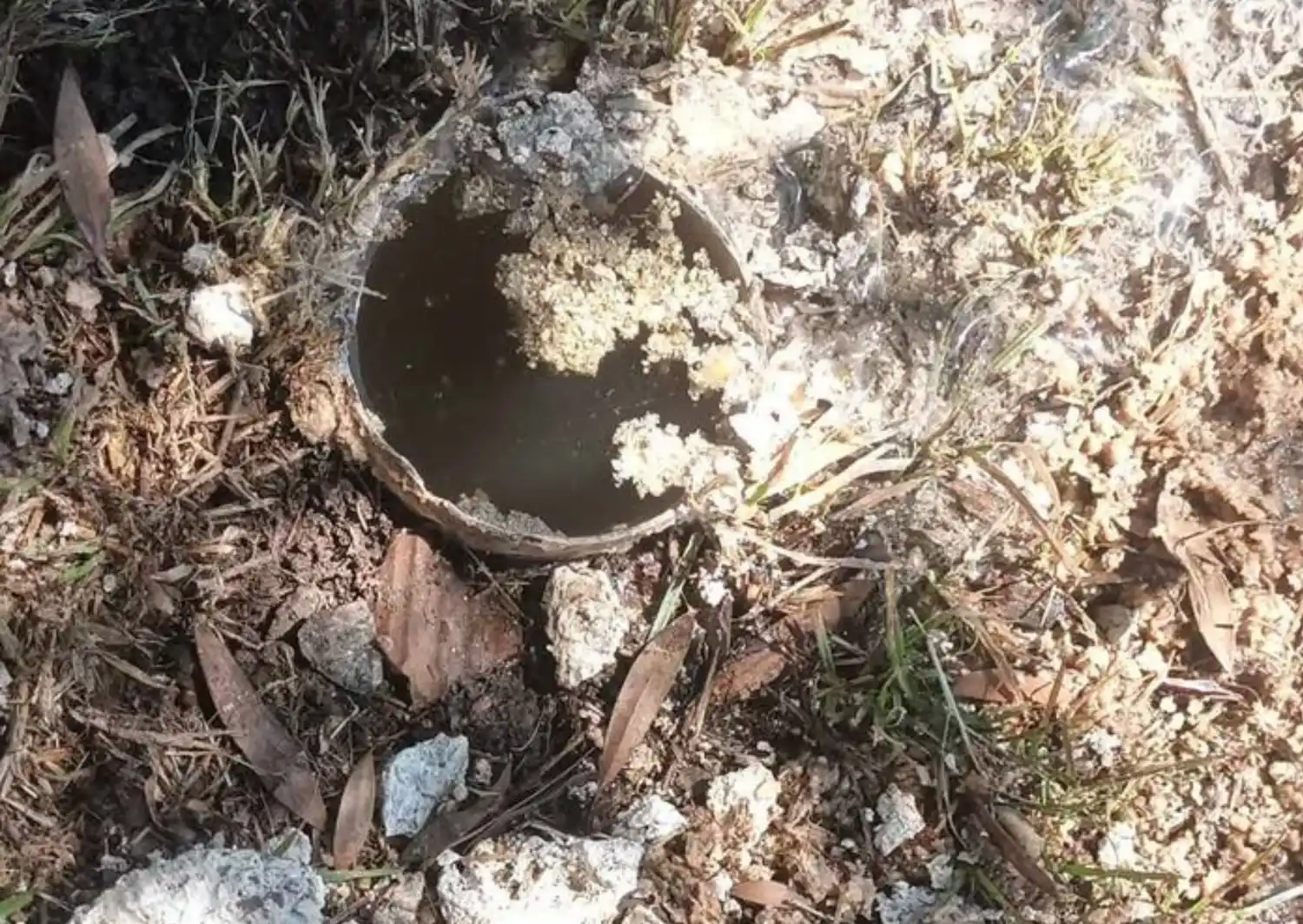 Cloacas tapadas en Esquiú y Almafuerte