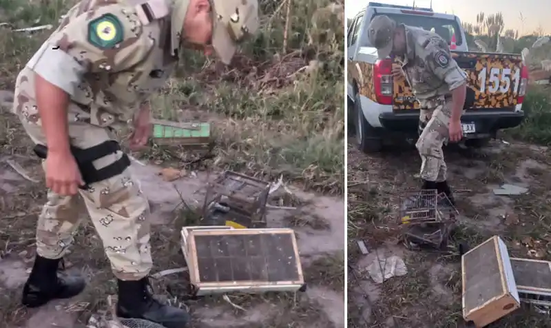 Brigadistas de la Dirección de Delitos Rurales frustran caza ilegal de aves