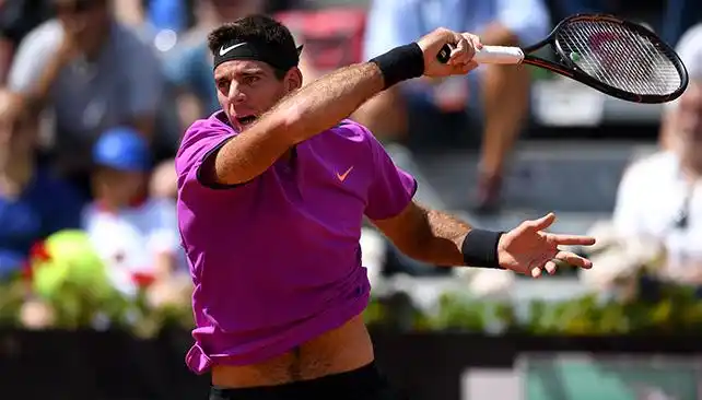 Del Potro, eliminado del ATP de Lyon