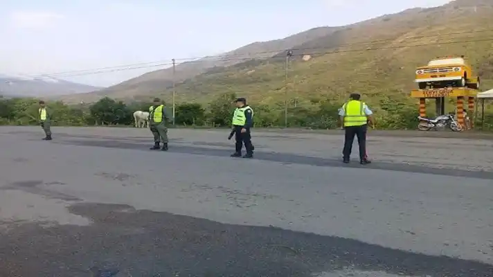 APUÑALADOS localizan los cadáveres de dos hombres en zona boscosa de Táchira