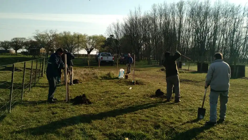 Avanzan con una campaña de forestación en predios deportivos de la zona rural