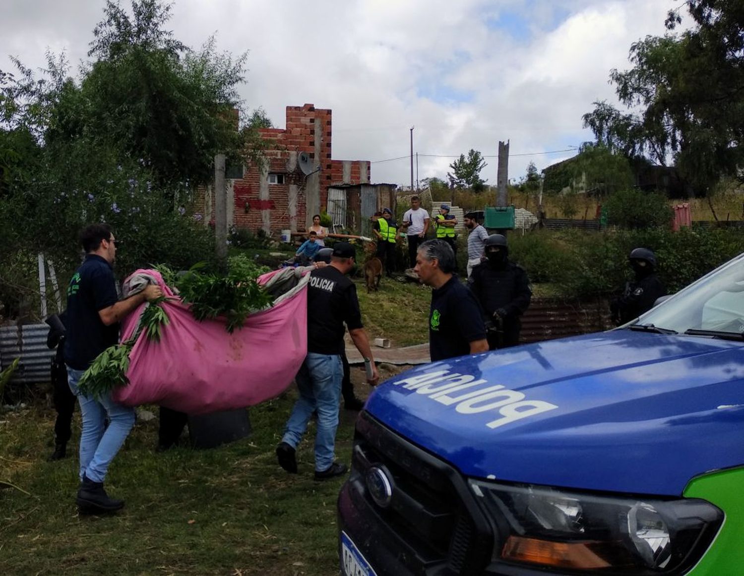 Allanan domicilio por moto robada y encuentran 30 plantas de marihuana