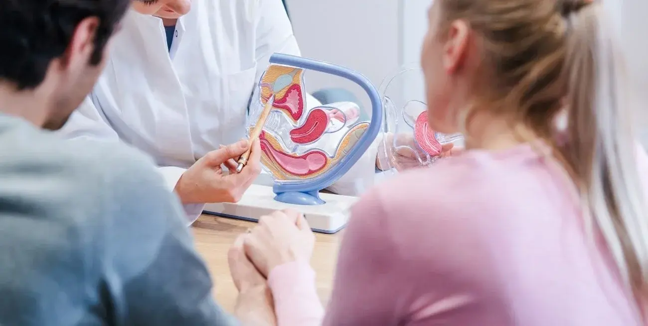 Día Mundial de la Fertilidad: por qué es clave cuidar la salud reproductiva y cuándo consultar