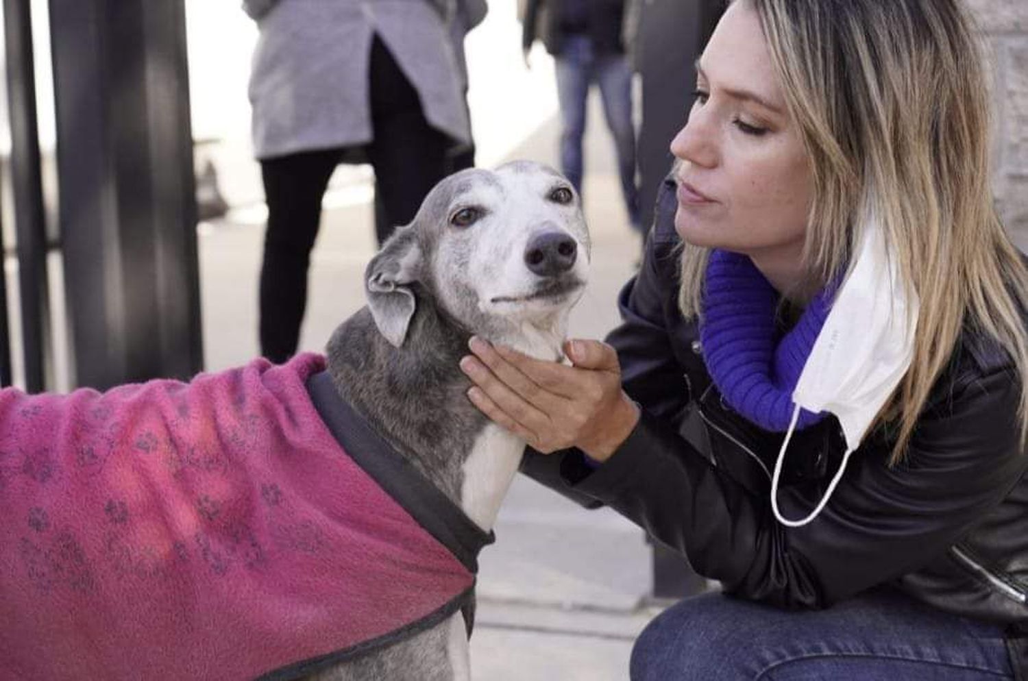 Carolina Losada busca actualizar las leyes que protegen a animales domésticos y silvestres