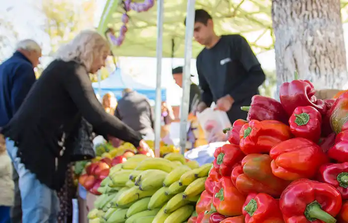 El 9 de Julio recibe hoy al programa “Mercado en tu barrio”