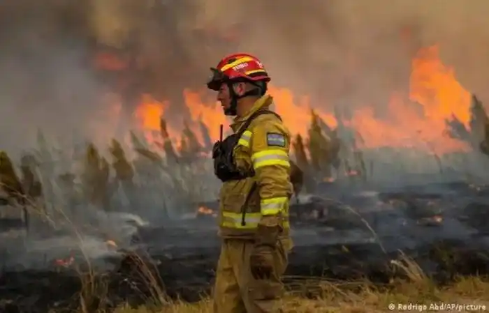Ambiente lanza una  diplomatura en  manejo del fuego  y cambio climático