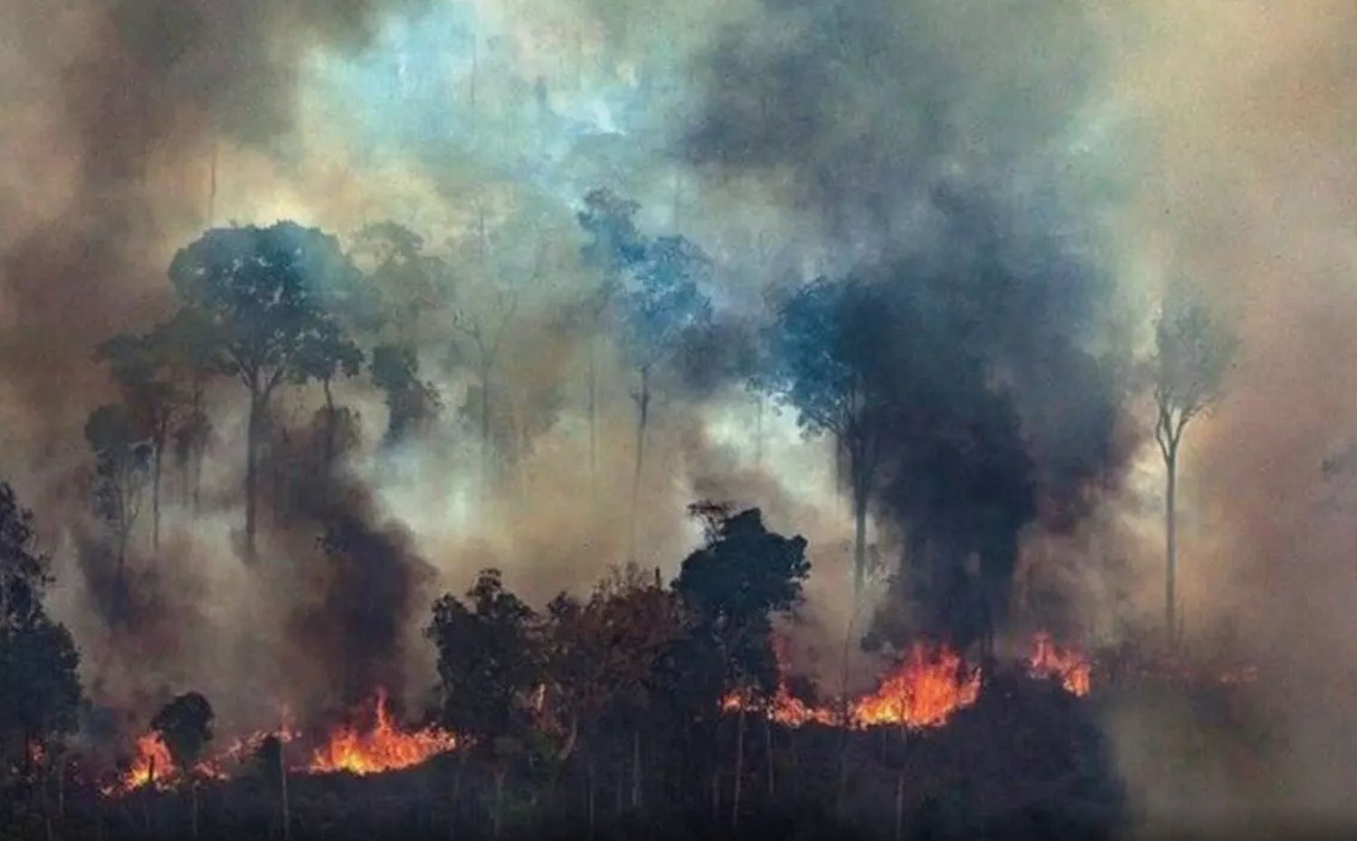 Amazonas: Brasil rechazará los US$22 millones ofrecidos por el G7 para combatir el fuego