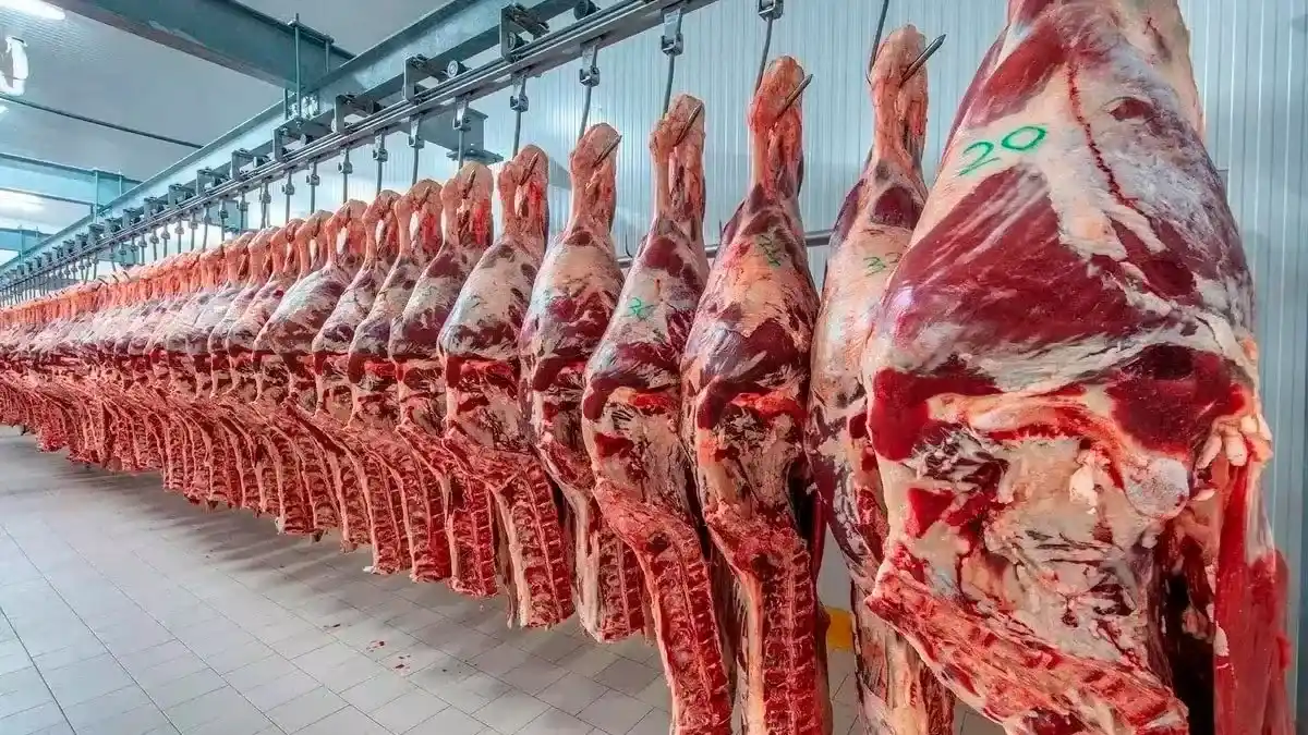 Ganaderos de Canadá presionan para bloquear el ingreso de carne del Mercosur