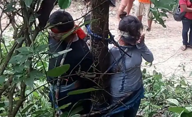 La acusaron de robo, la ataron a un árbol y murió picada por hormigas venenosas