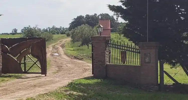 Megaoperativo por drogas: Gendarmería se llevó documentación y elementos del campo allanado