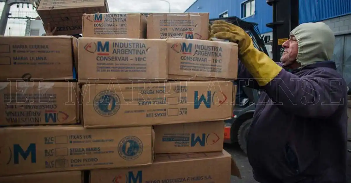 Nación aumentó los reintegros para las exportaciones de la pesca