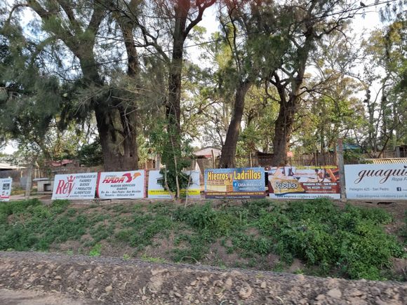 Refugio San Pedro: 180 perros, 3 personas para asistirlos y pocos fondos.