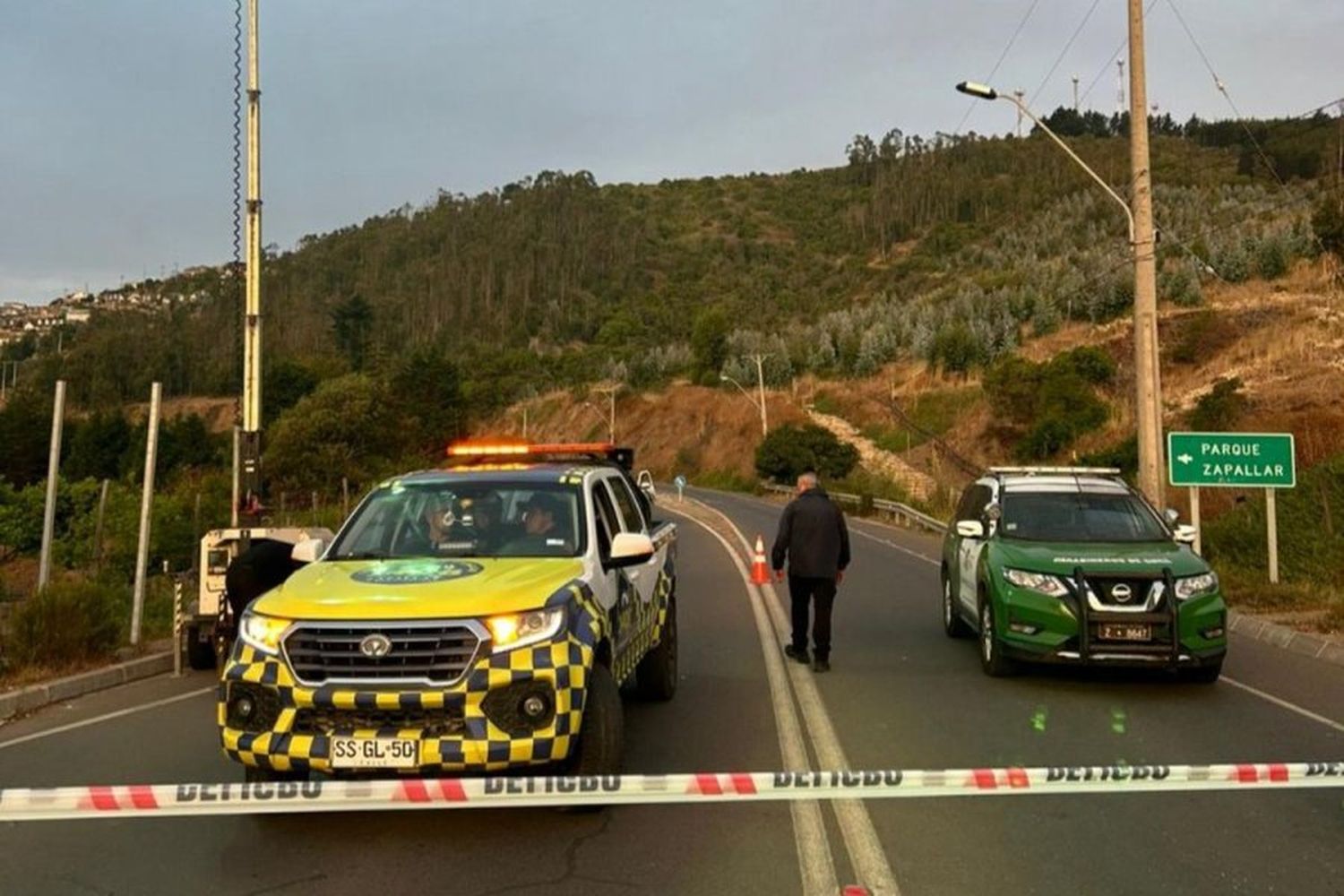 Murió un ex-jugador de "Los Pumas" en un accidente de auto en Chile