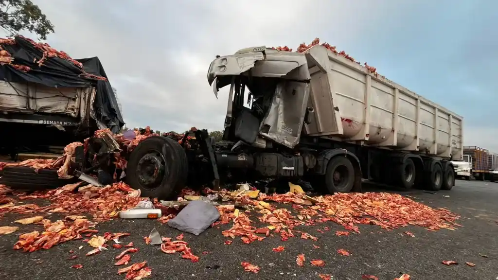 Accidente múltiple en la autopista Rosario–Buenos Aires.