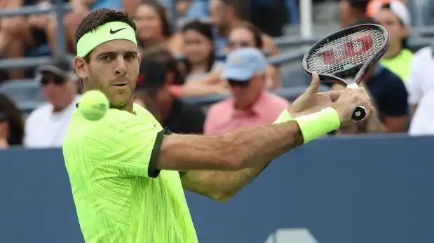 US Open: Ganó Juan Martín Del Potro y avanza a cuartos de final 
