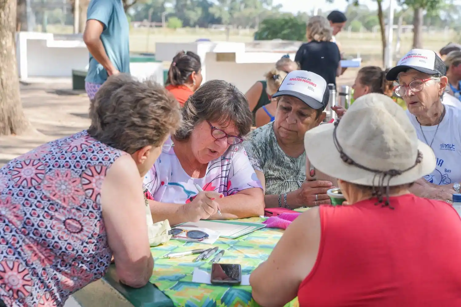 Colonias Municipales - 2