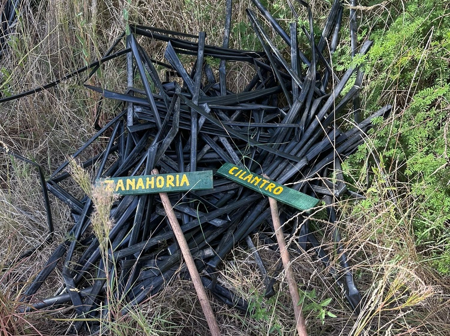 JxC denunció que las huertas del PASSS en Las Piedras están tapadas de malezas