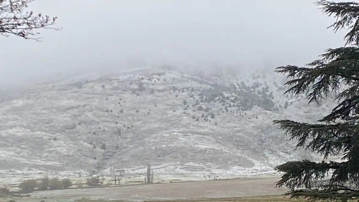 (Foto: @pipiuniversal vía X)