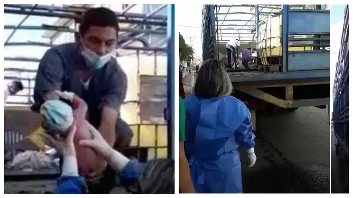 ¡INCREIBLE! UNA MUJER PARIÓ en un camión para transporte de ganado, en Guárico (+Video)