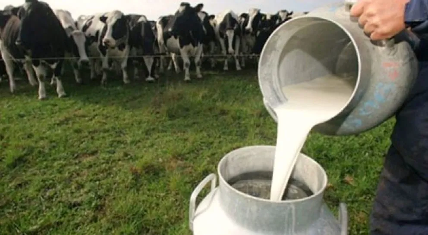 Lanzan créditos para el campo que se pueden pagar con leche y soja