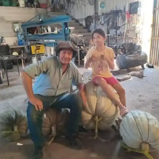 Un entrerriano cosechó un zapallo gigante de 111,8 kilos en Córdoba
