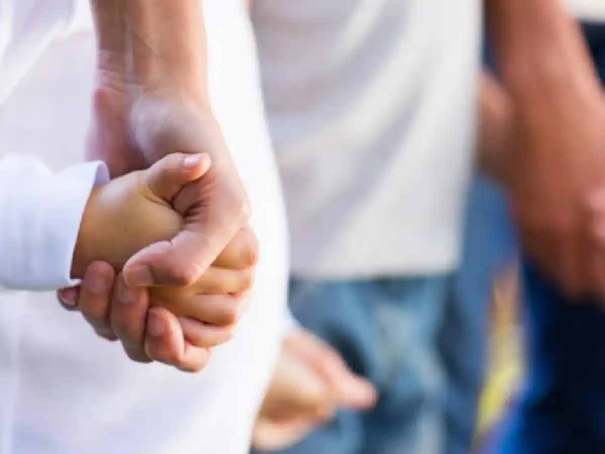 Simplifican y digitalizan trámites con la promesa de agilizar las adopciones en Córdoba