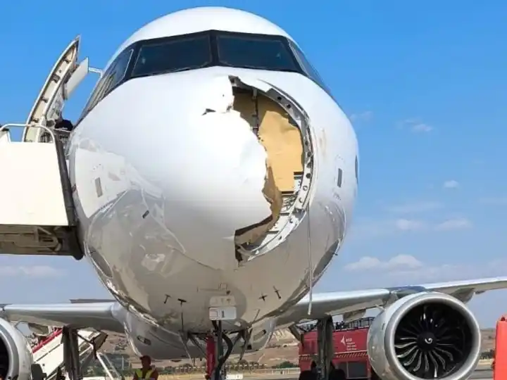 Insólito: un avión chocó con un pájaro
