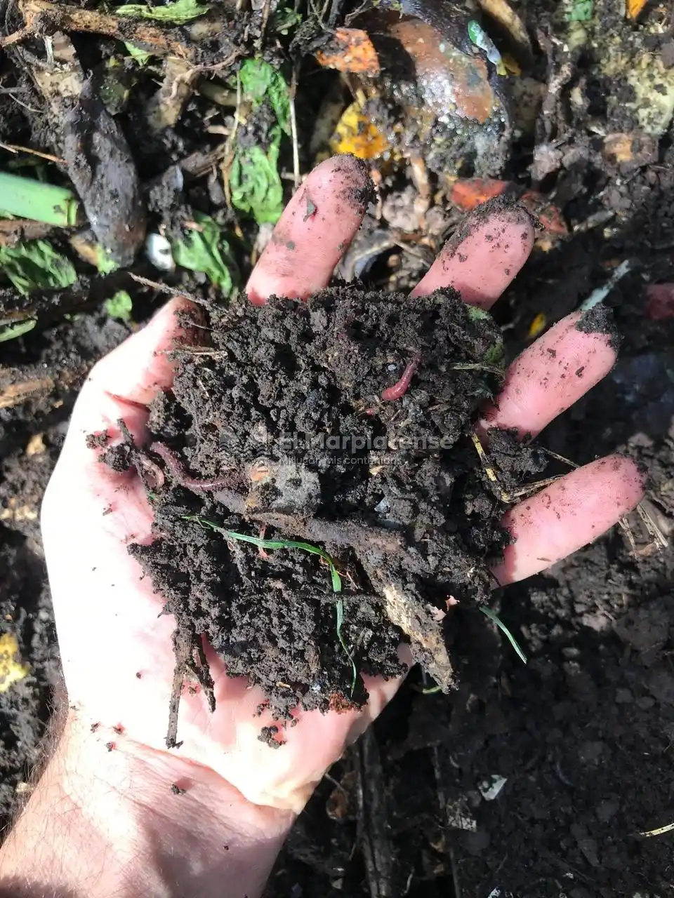 Para que sean productivos tus cultivos necesitan nutrientes.