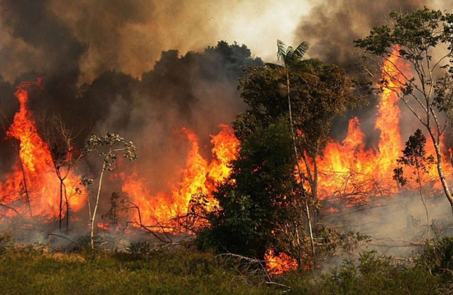 El gobierno nacional declaró la emergencia agropecuaria en Formosa