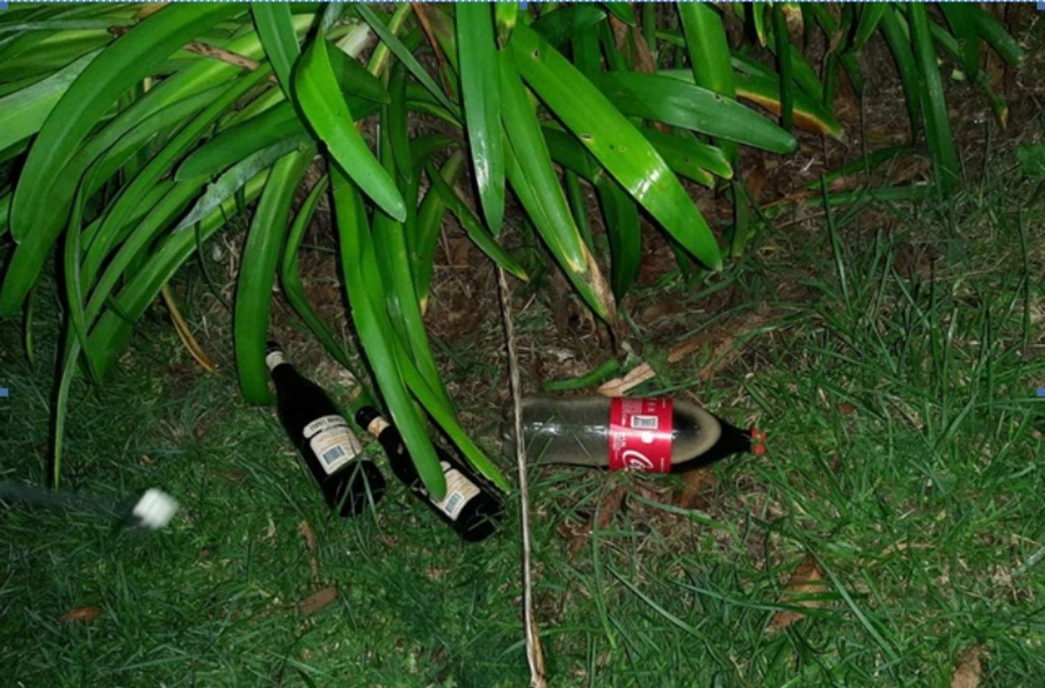 La "nueva nocturnidad": desarticulan cinco fiestas clandestinas