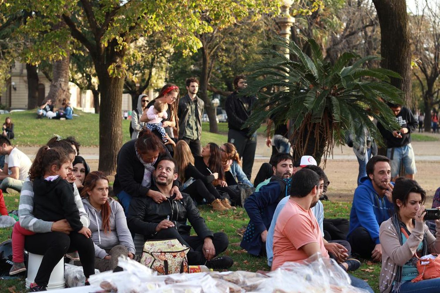 Cannabis Medicinal Tandil afirmó que hay un “hueco legal”