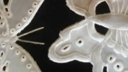 Inauguró la exposición de Raquel Spigno y Marisa Saint Bladis