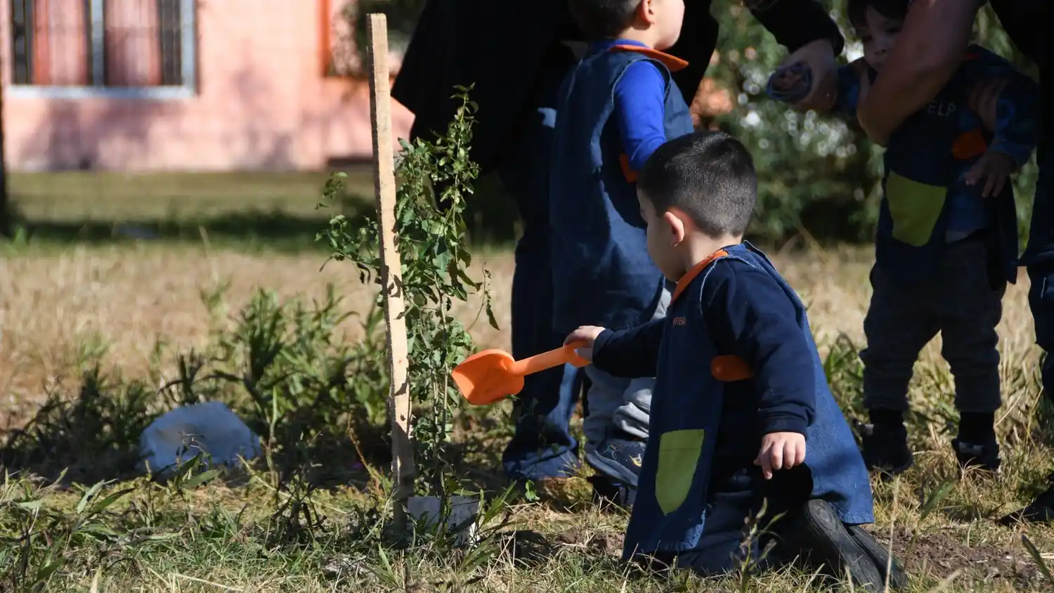 plantación de árboles en barrio San Cayetano 2
